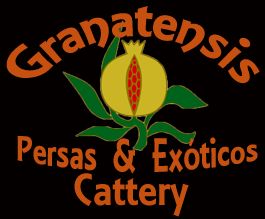 Granatensis Cattery