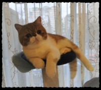 /album/machos/a20140205-011134-jpg/