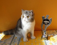 /album/hembras/a20140901-124922-jpg/